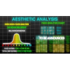 Aesthetic Analysis